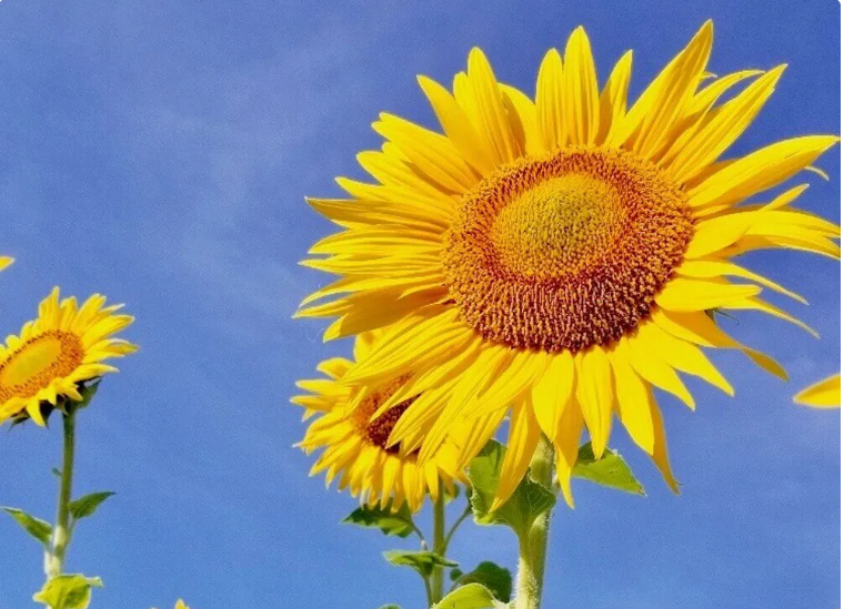 スクリーンショット 2024-07-27 212156.png